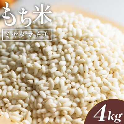 米 新米 先行予約 令和8年産 もち米 ミヤタマモチ 4kg(2kg✕2) 香南市産 at-0070