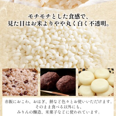 もち米 4kg(2kg×2) - 国産 餅 モチ もち米 高知県産 小分け at-0036