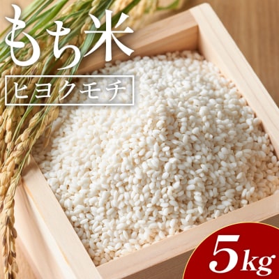もち米 5kg - 国産 餅 モチ もち米 高知県産 ヒヨクモチ at-0037