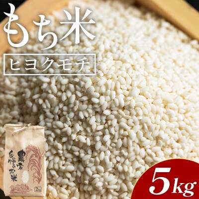 もち米 5kg - 国産 餅 モチ もち米 高知県産 ヒヨクモチ at-0037