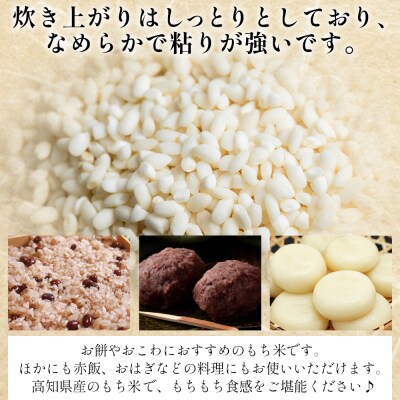 米 新米 先行予約 令和8年産 もち米 ミヤタマモチ 5kg 高知県香南市産 at-0071