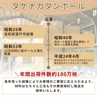 【7日程度で発送】テープレスケース(ネコポスサイズ) 10枚 ta-0001