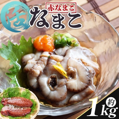 活ナマコ 1kg 赤ナマコ 国産 産地直送 赤なまこ なまこ ナマコ 海産 海鮮 eb-0029