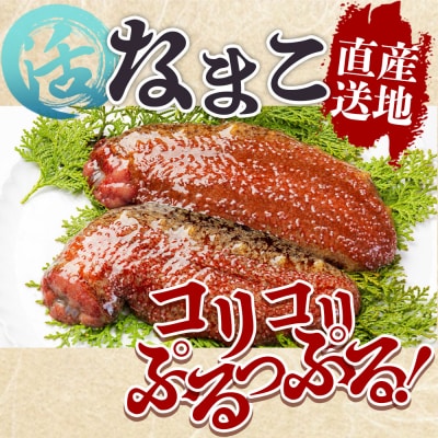 活ナマコ 1kg 赤ナマコ - 国産 産地直送 赤なまこ なまこ ナマコ 海産 海鮮 eb-0012