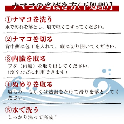活ナマコ 1.5kg 赤ナマコ - 国産 産地直送 赤なまこ なまこ ナマコ 海鮮 eb-0030