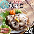 活ナマコ 2kg 赤ナマコ - 国産 産地直送 赤なまこ なまこ ナマコ 海産 海鮮 eb-0014
