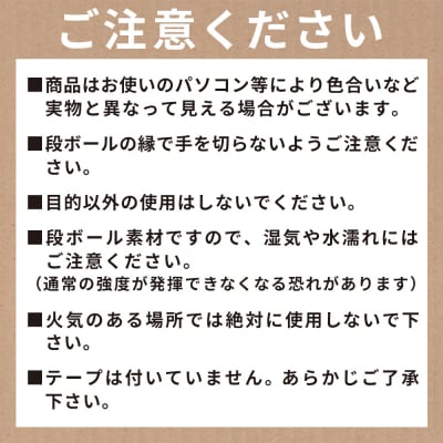 【7日程度で発送】抜き式ケース(A4対応) 40枚 クリックポストサイズ ダンボール ta-0009