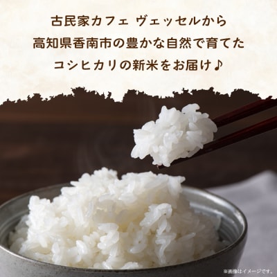 【定期便】愛情注いで育てたコシヒカリ 5kg 2回 合計10kg Wtd-0010