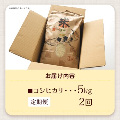 【定期便】愛情注いで育てたコシヒカリ 5kg 2回 合計10kg Wtd-0010
