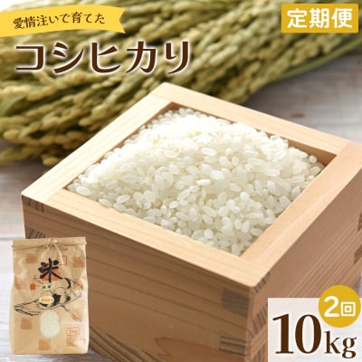 【定期便】愛情注いで育てたコシヒカリ 10kg 2回 合計20kg Wtd-0012