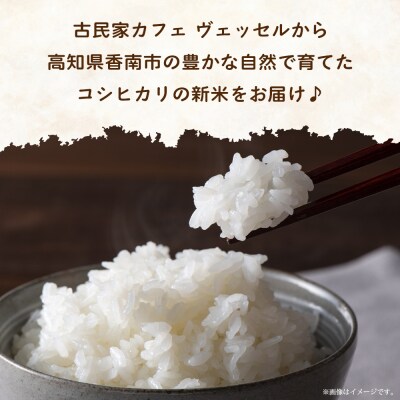 【定期便】愛情注いで育てたコシヒカリ 10kg 2回 合計20kg Wtd-0012