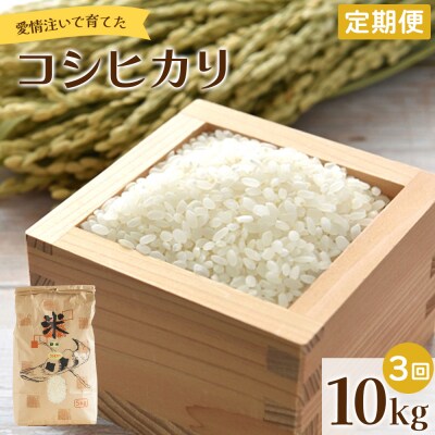 【定期便】愛情注いで育てたコシヒカリ 10kg 3回 合計30kg Wtd-0013