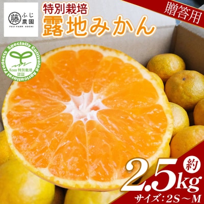 【特別栽培みかん】ふじ農園の露地みかん 贈答用 2.5kg (2S～M) fn-0009