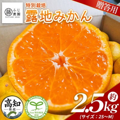 【特別栽培みかん】ふじ農園の露地みかん 贈答用 2.5kg (2S～M) fn-0009