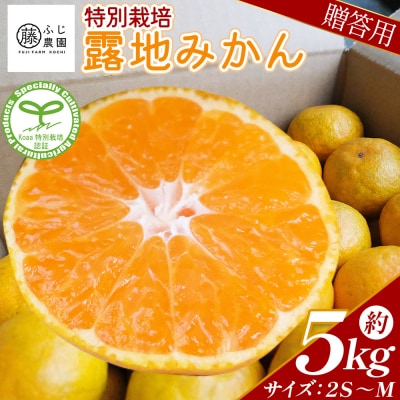 【特別栽培みかん】ふじ農園の露地みかん 贈答用 5kg (2S～M) fn-0001