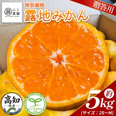 【特別栽培みかん】ふじ農園の露地みかん 贈答用 5kg (2S～M) fn-0010
