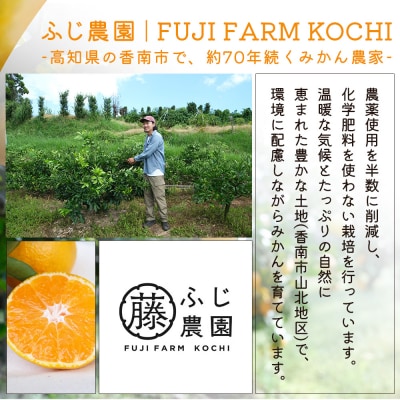 【特別栽培みかん】ふじ農園の露地みかん 贈答用 5kg (2S～M) fn-0010