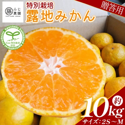 【特別栽培みかん】ふじ農園の露地みかん 贈答用 10kg (2S～M) fn-0003