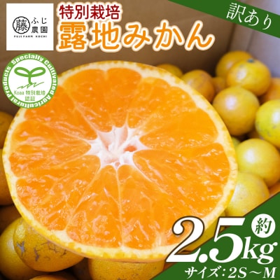 【特別栽培みかん】ふじ農園の露地みかん 訳ありみかん 2.5kg (2S～M) fn-0004