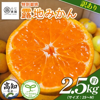 【特別栽培みかん】ふじ農園の露地みかん 訳ありみかん 2.5kg (2S～M) fn-0012