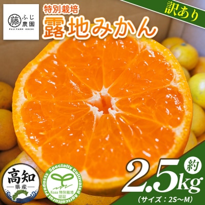 【特別栽培みかん】ふじ農園の露地みかん 訳ありみかん 2.5kg (2S～M) fn-0012