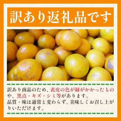 【特別栽培みかん】ふじ農園の露地みかん 訳ありみかん 2.5kg (2S～M) fn-0012
