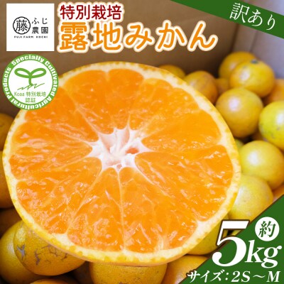 【特別栽培みかん】ふじ農園の露地みかん 訳ありみかん 5kg (2S～M) fn-0005