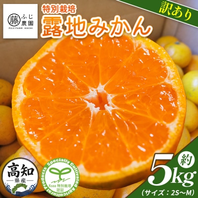 【特別栽培みかん】ふじ農園の露地みかん 訳ありみかん 5kg (2S～M) fn-0013