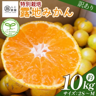 【特別栽培みかん】ふじ農園の露地みかん 訳ありみかん 10kg (2S～M) fn-0006
