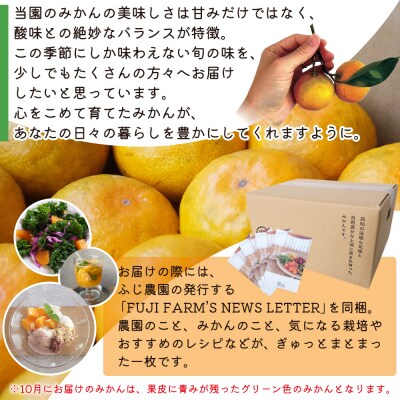 【特別栽培みかん】ふじ農園の露地みかん 訳ありみかん 10kg (2S～M) fn-0014