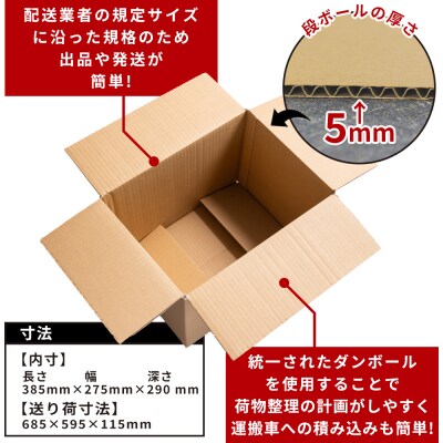 【7日程度で発送】梱包用ダンボール 100サイズ 10枚 防災 資材 ta-0027