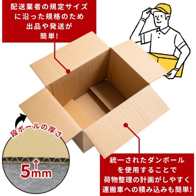 【7日程度で発送】引越しダンボールセット 計20枚 ta-0034