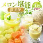 【4回定期便】メロン堪能定期便 Wtn-0042