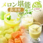 【8回定期便】メロン堪能定期便 Wtn-0043