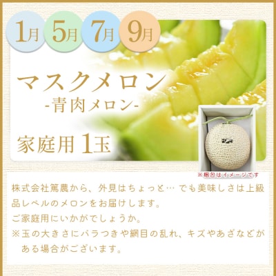 【12回定期便】メロン堪能定期便 Wtn-0044