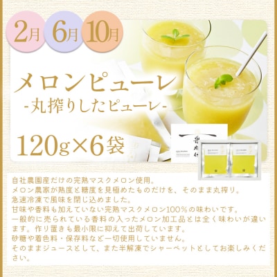 【12回定期便】メロン堪能定期便 Wtn-0044