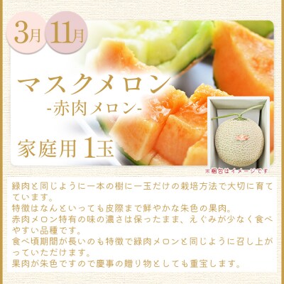 【12回定期便】メロン堪能定期便 Wtn-0044