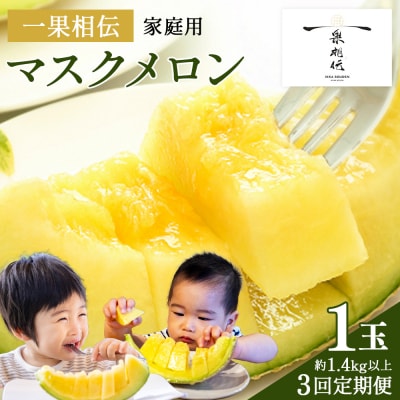 【3回定期便】《家庭用》一果相伝マスクメロン1玉 Wtn-0038