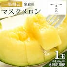 【6回定期便】一果相伝マスクメロン 家庭用 1玉入り Wtn-0039