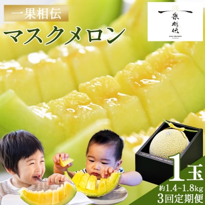 【3回定期便】一果相伝マスクメロン1玉入り Wtn-0040