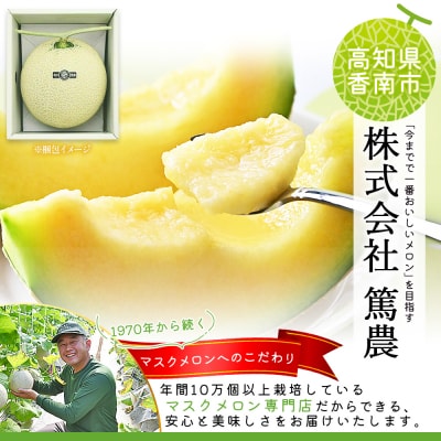【3回定期便】一果相伝マスクメロン1玉入り Wtn-0040