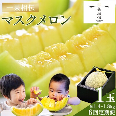 【6回定期便】一果相伝マスクメロン 1玉入り Wtn-0041