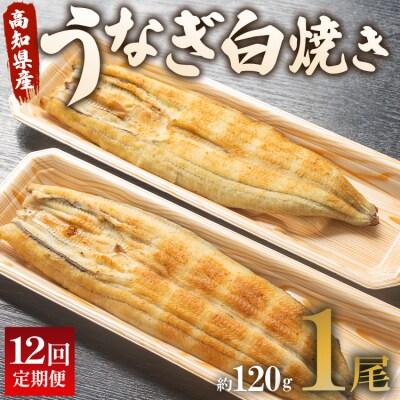 【12回定期便】 国産 うなぎ 白焼き 120g 1尾(無頭) Wun-0034