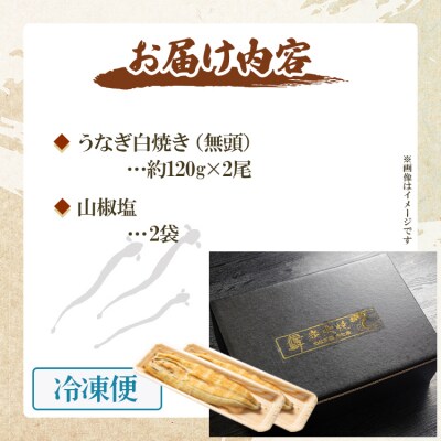 【2回定期便】うなぎ屋きた本 うなぎ白焼き120g 2尾(無頭) Wun-0035