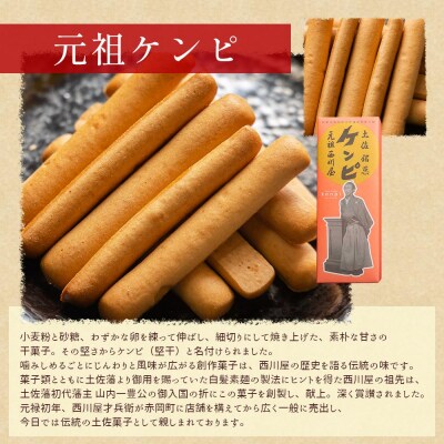 【7日程度で発送】【土佐藩御用菓子舗】元祖ケンピ・芋けんぴ食べくらべセット nk-0019