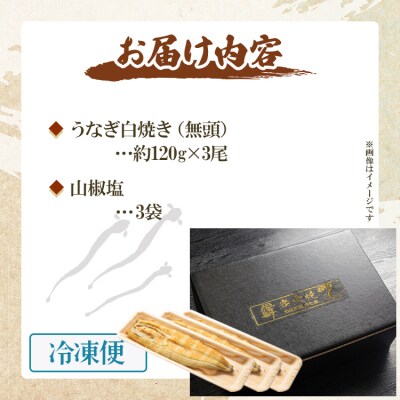 【3回定期便】うなぎ屋きた本 うなぎ白焼き120g 3尾(無頭) Wun-0040