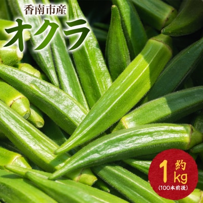 オクラ1kg(100本前後) - おくら オクラ 野菜 やさい 夏野菜 新鮮 朝採れ on-0028
