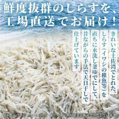 【冷蔵】釜揚げしらす(ちりめん) 約400g しらす干し しらす mu-0007