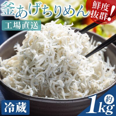 【冷蔵】釜揚げしらす(ちりめん) 約1kg しらす干し しらす mu-0008