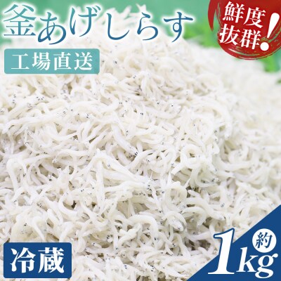【冷蔵】釜揚げしらす(ちりめん) 約1kg しらす干し しらす mu-0008